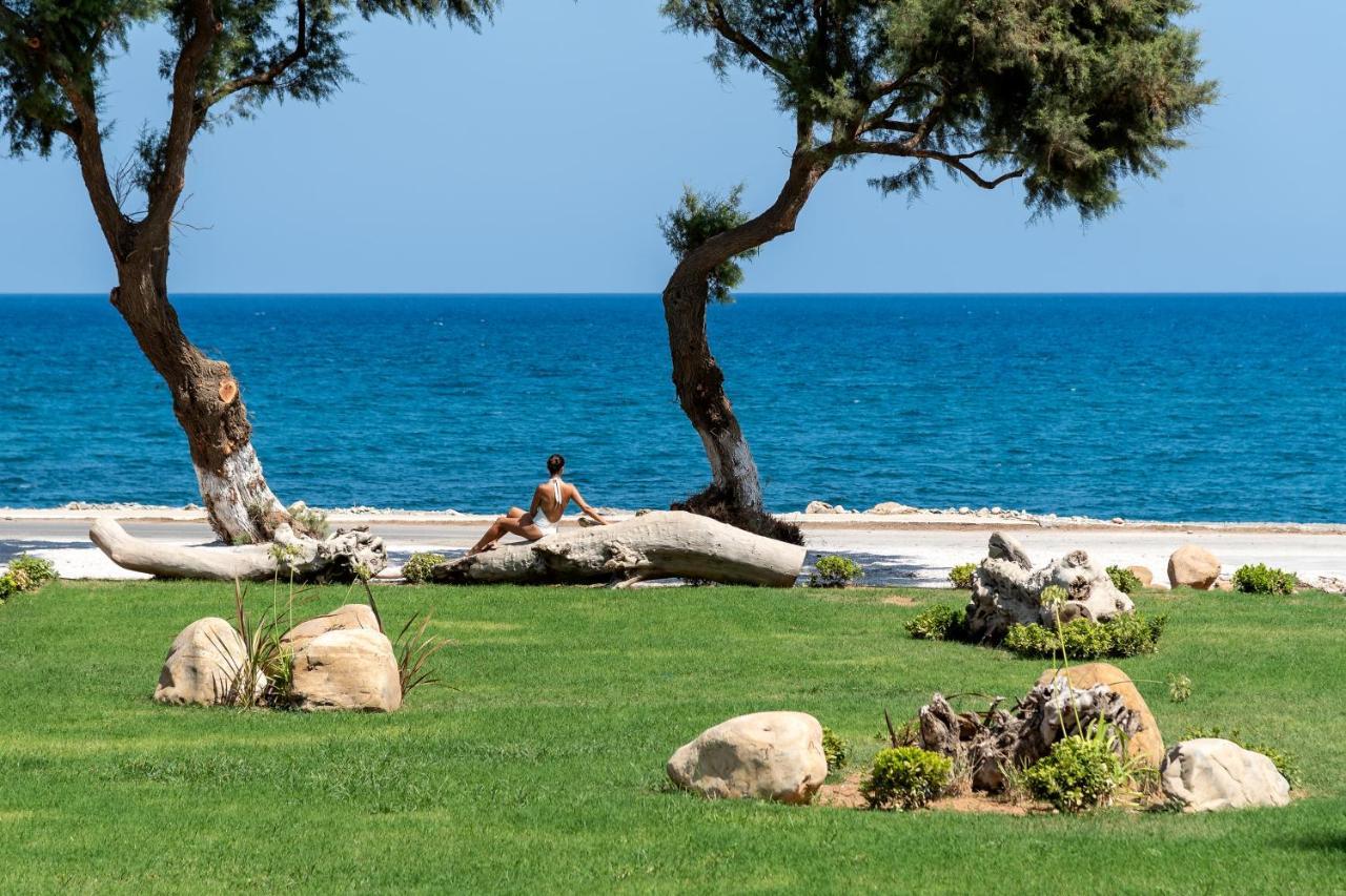 Artemis Seafront Villa, An Evanescence Sea Retreat, By Thinkvilla Tavronitis Exterior foto